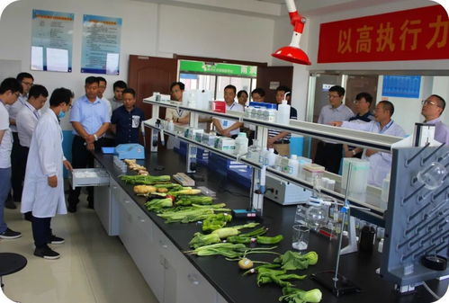 省食品安全快速檢測信息采集座談會在徐州雨潤公司圓滿舉行